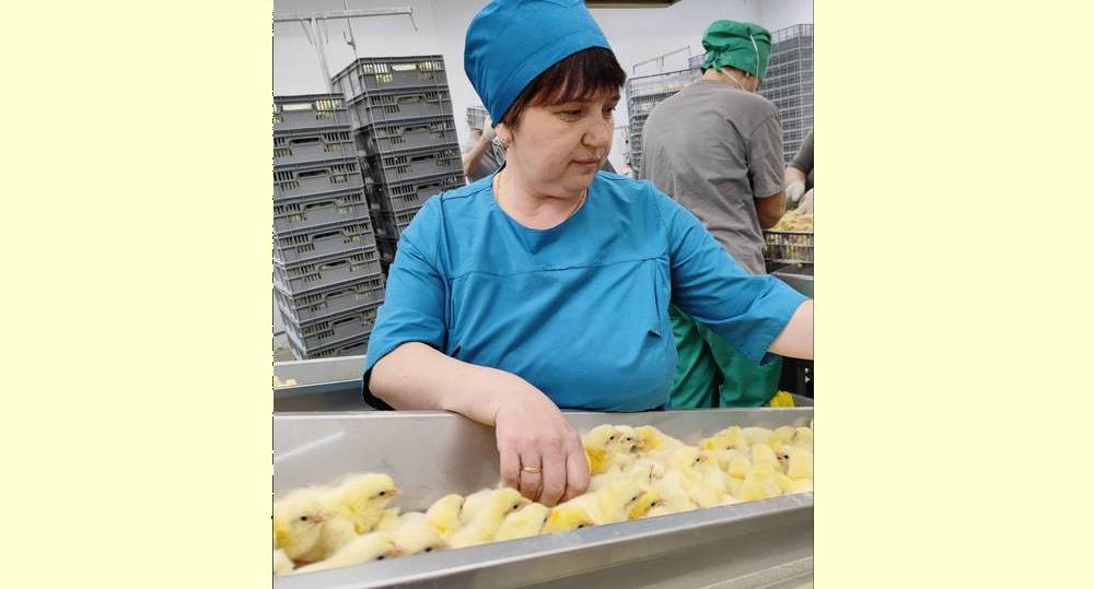 Тамара Кабанова: «Семейный подряд в «Мираторге» — для меня идеально!»