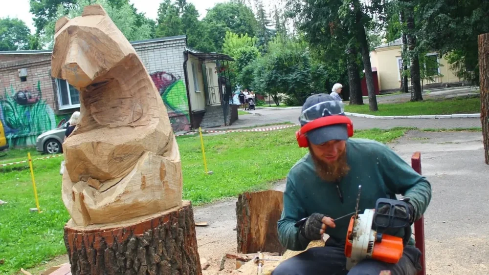 В парке Толстого в Брянске горожанам и гостям показали «Волшебный мир дерева» 
