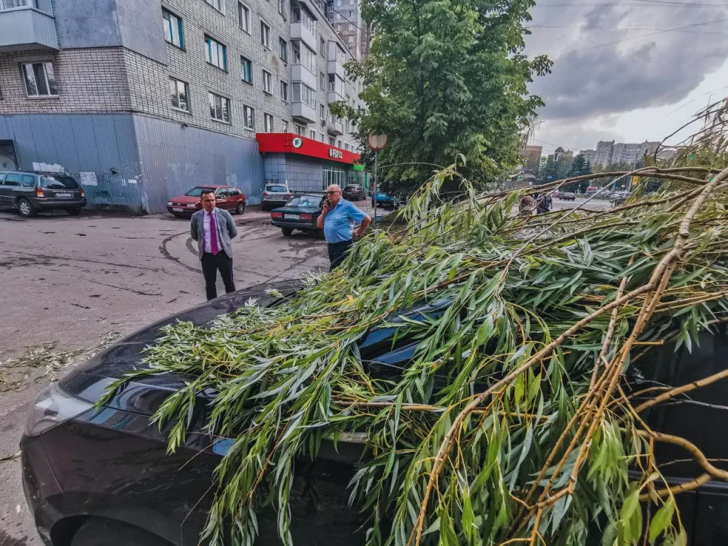 Глава Советского района Брянска выехал на место падения дерева на автомобиль