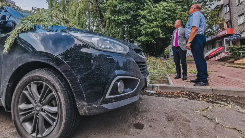 Глава Советского района Брянска выехал на место падения дерева на автомобиль