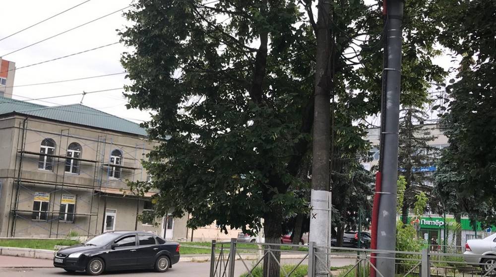 В Брянске начали ремонтировать фасад ДК глухонемых на Красноармейской улице