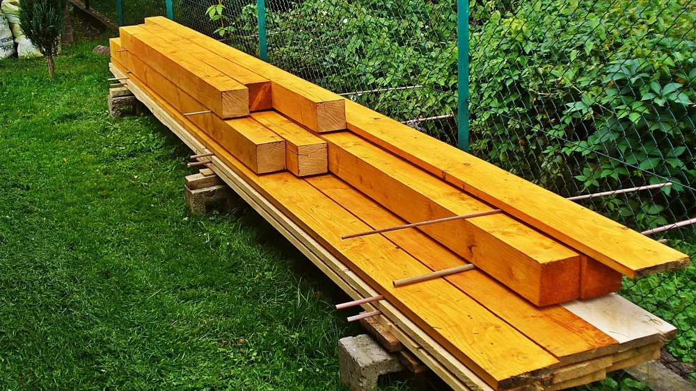 В Брянске установили ставки платы по договору купли-продажи леса для нужд граждан