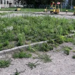 Брянские «фронтовики» попросили прокуратуру проверить чиновников из-за детского городка