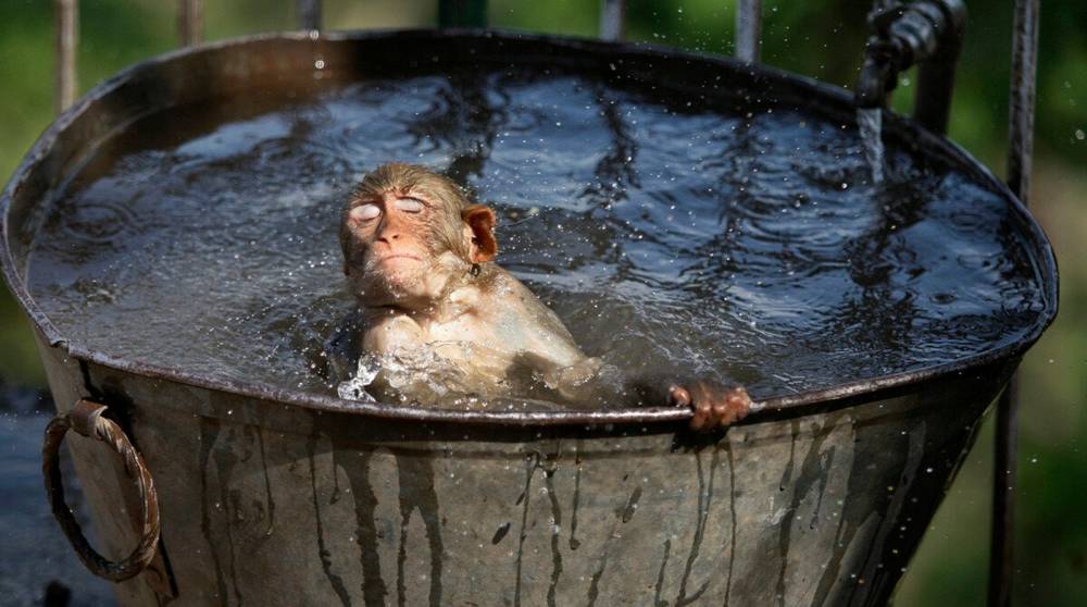 Жителей Брянской области предупредили об аномальной 36-градусной жаре