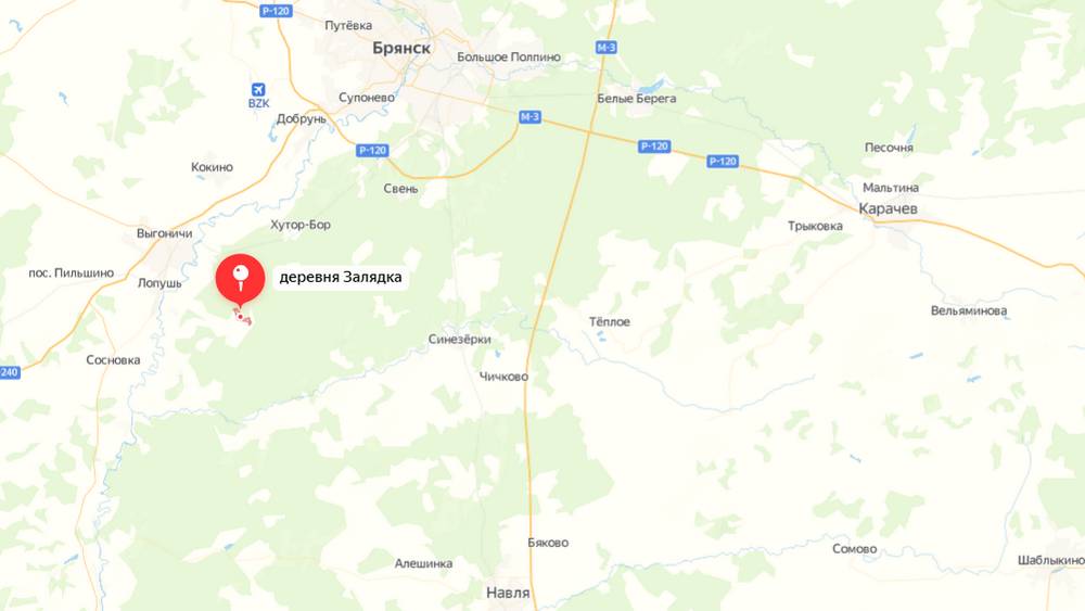 Жители брянских болот попросили Героя озолоченной деревни вспомнить о них