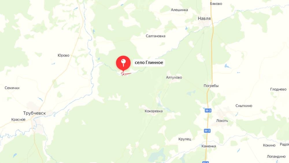 Стало известно, как в Брянской области выявили и обезвредили украинских диверсантов