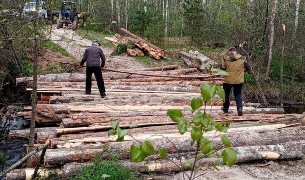 Жители брянских болот попросили Героя озолоченной деревни вспомнить о них