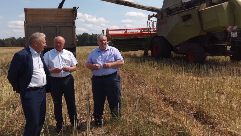 В Брасовском районе замгубернатора Борис Грибанов на полях оценил уборку зерновых и рапса