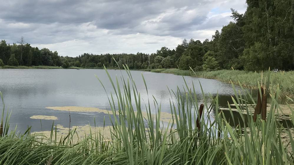 В Жуковском районе Брянской области возле деревни Летошники в реке Угость утонул ребёнок