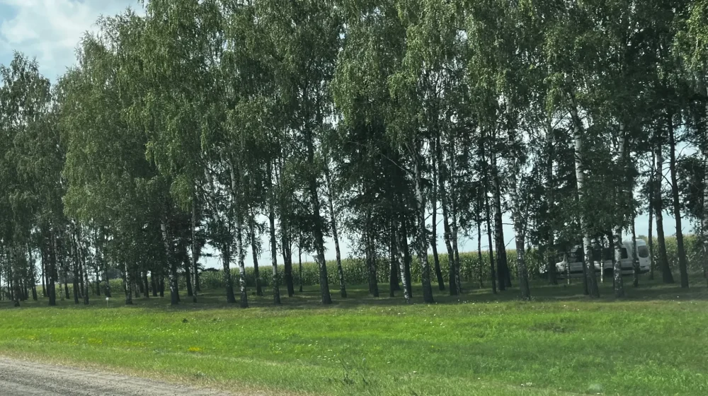 Ремонт федеральной узкоколейки под Брянском вызвал огромные пробки в 30-градусную жару