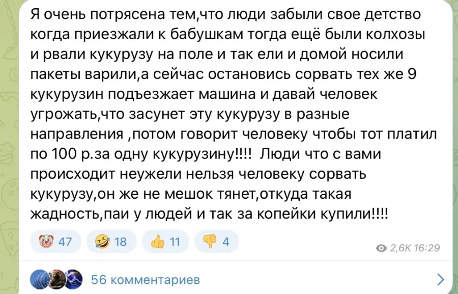 Жители Брянской области попросили разрешить им воровать