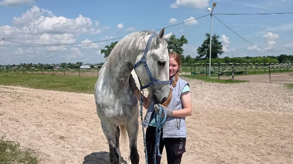 Нежная хватка берейторов: Локотской конезавод становится местом притяжения