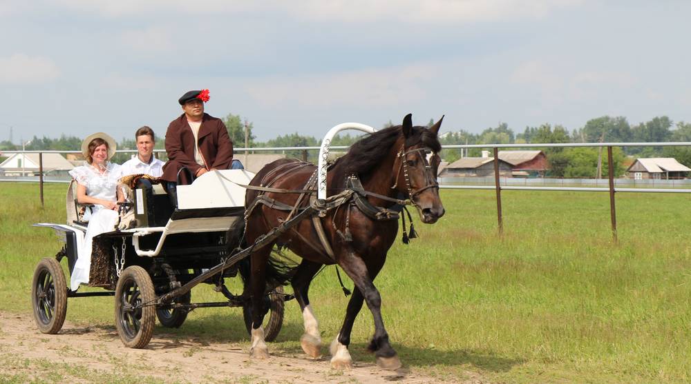 Нежная хватка берейторов: Локотской конезавод становится местом притяжения