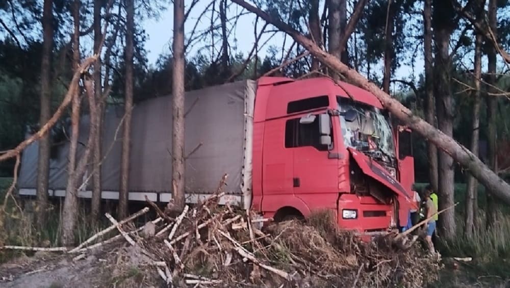Под Унечей на трассе погиб 42-летний водитель врезавшегося в дерево грузовика MAN