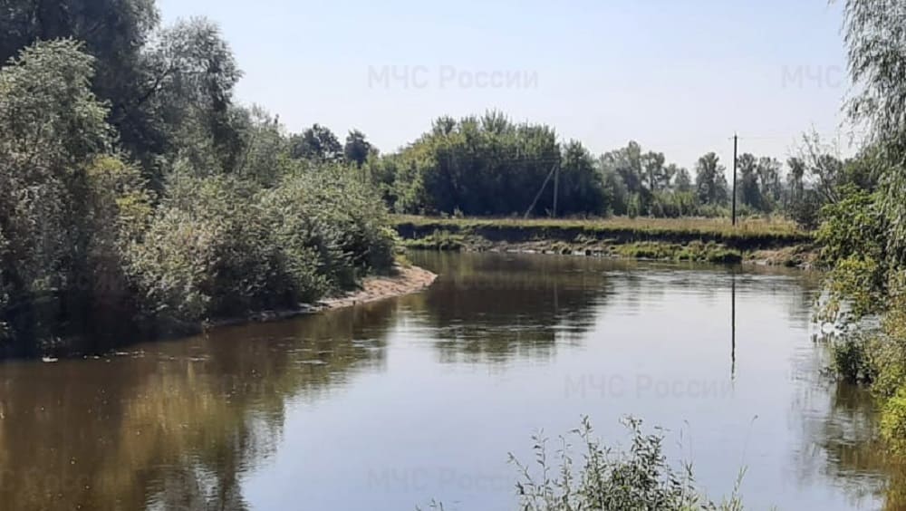 В Бежицком районе Брянска из реки Болвы 25 августа подняли тело утонувшего мужчины