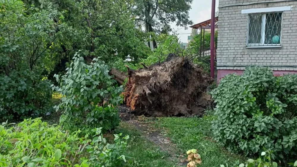 Вечером по Фокинскому району Брянска прошелся мощный ураган