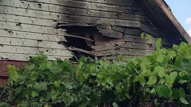 В сети появились фото и видео с места обстрела ВСУ села Кирилловка в Брянской области