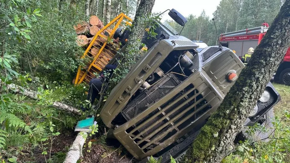 Под Брянском с федеральной узкоколейки слетел и опрокинулся лесовоз — водитель погиб