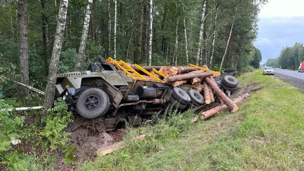 Под Брянском с федеральной узкоколейки слетел и опрокинулся лесовоз — водитель погиб