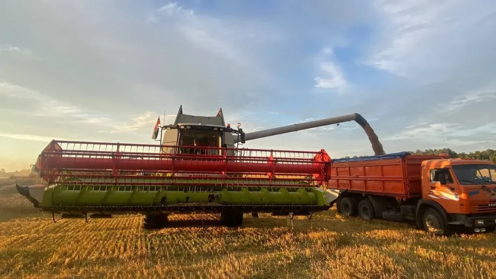 В Брянской области к 21 августа обмолочено 127 тысяч га зерновых и масличных культур