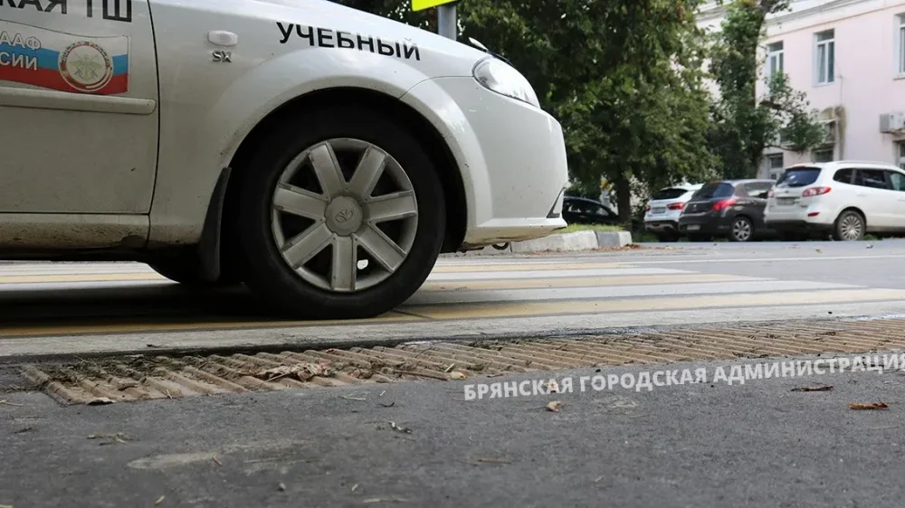 В Брянске нашли эталонную улицу для инвалидов