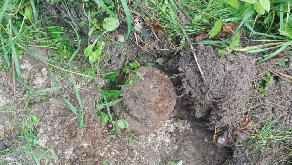 В Брянском районе местных жителей напугали две найденные противопехотные мины