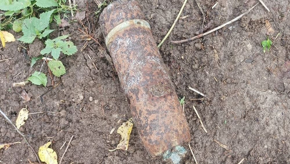 Жителей Дубровки Брянской области утром 12 августа напугал найденный артиллерийский снаряд