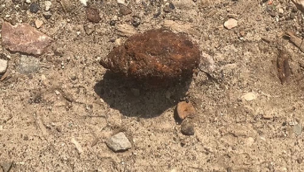 В Дятьковском районе Брянской области местных жителей напугала найденная граната