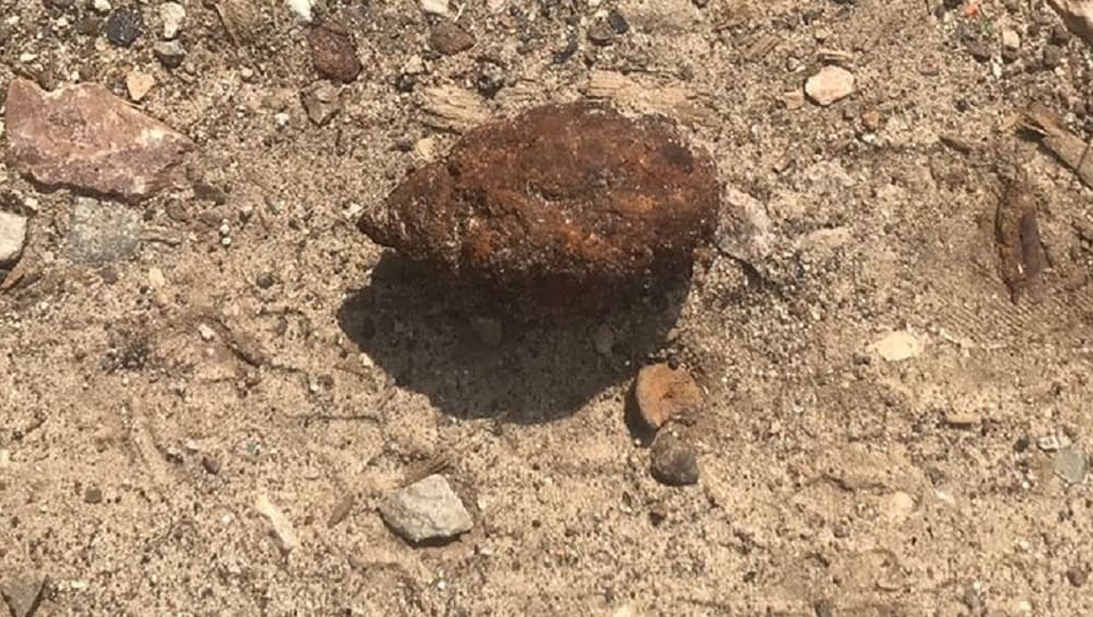 В Дятьковском районе Брянской области местных жителей напугала найденная граната