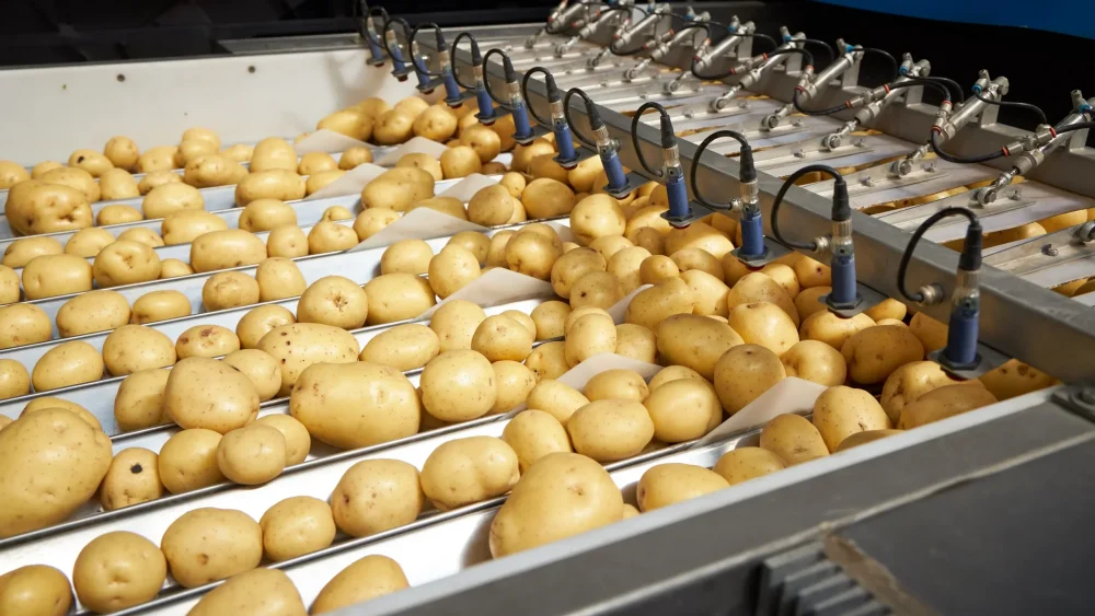 «Мираторг» заместит импорт замороженных овощей благодаря запуску проекта по переработке бобовых в Тульской области