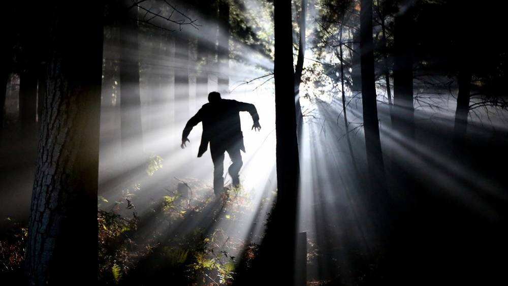 Жителей Дятькова предупредили о подстерегающем детей маньяке возле школы №5