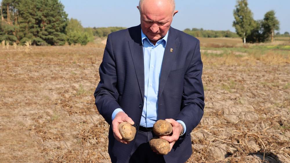В Брянской области значительно выросло число картофелехранилищ