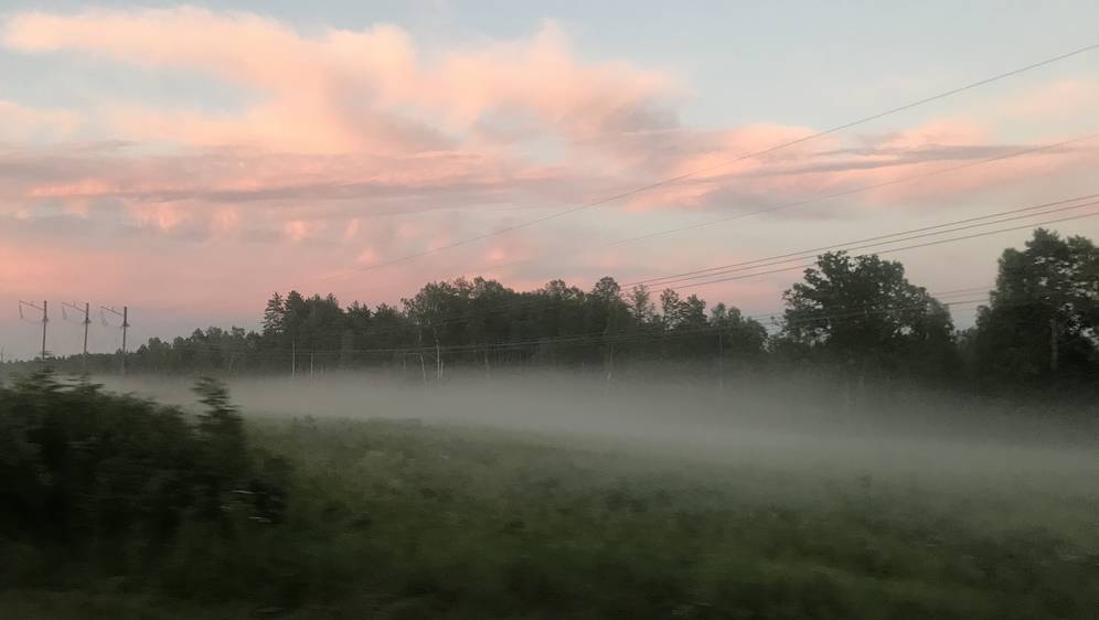 На Брянскую область ночью 14 сентября опустится туман при 3 градусах тепла