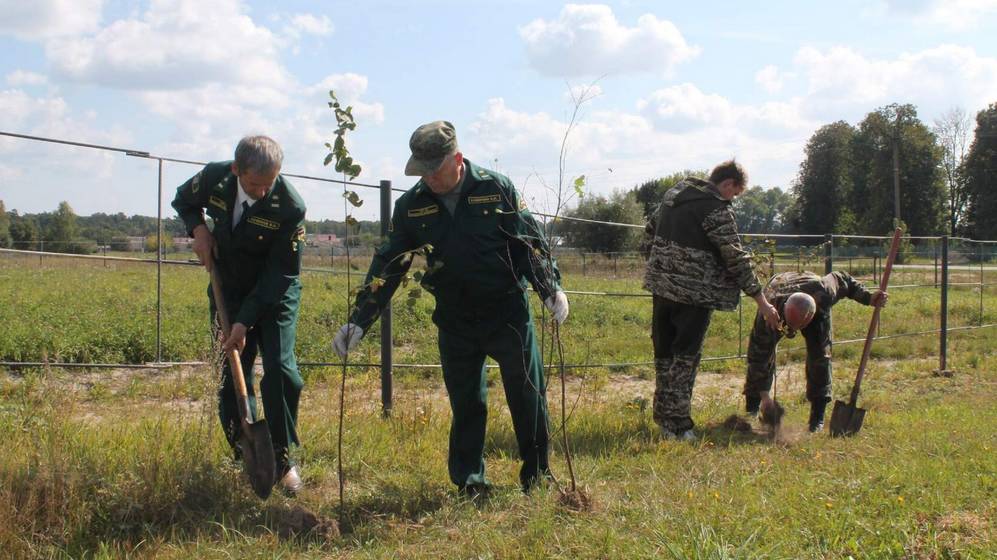 В Брянской области акцию «Сохраним лес» поддержали сотрудники Брасовского лесничества
