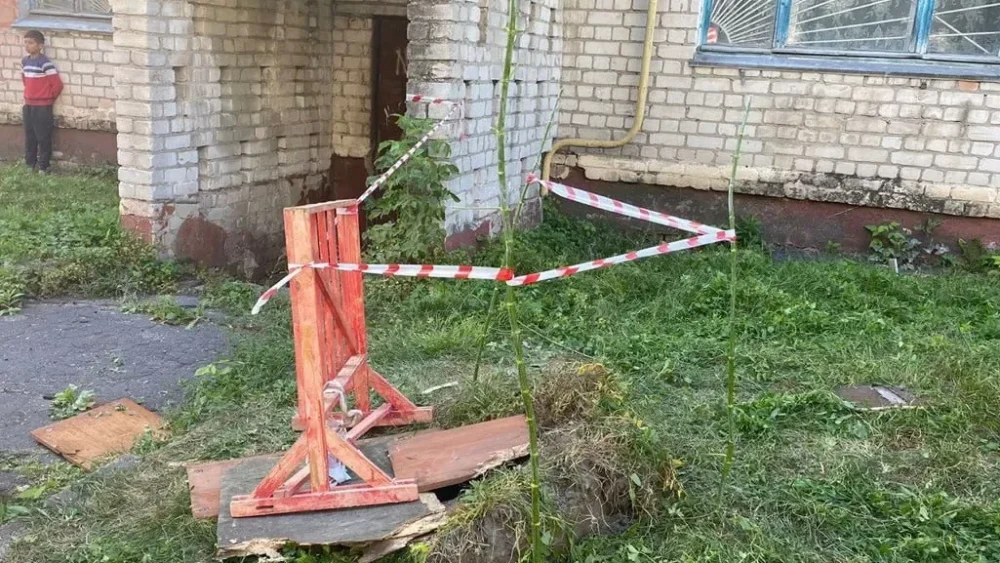 В Брянске спасателям пришлось вытаскивать провалившегося в люк коня