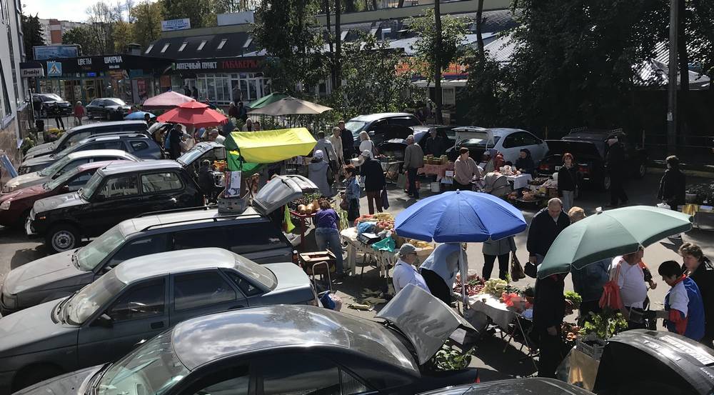 Вопреки требованию брянского губернатора сельхозпроизводителей загнали в угол