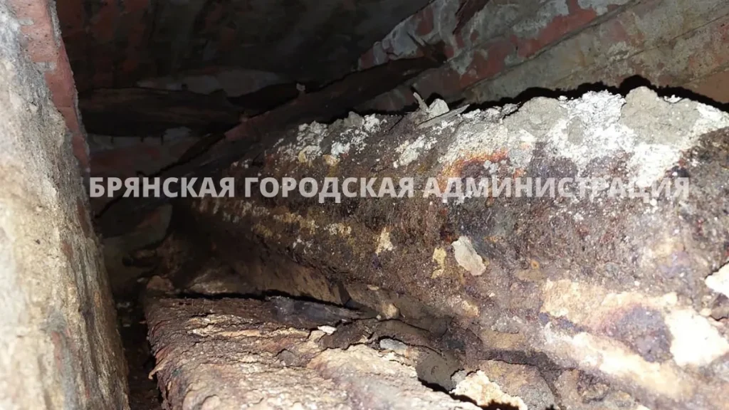 В Брянске могилу революционера Игната Фокина оставят на старом месте до перезахоронения