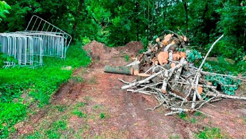 В Брянске чиновников наказали за свалку строительного мусора в овраге у Центрального парка