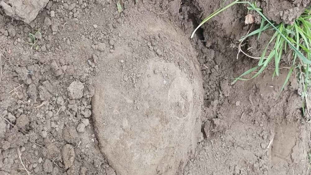 На окраине Брянска 18 сентября в поле обнаружили противотанковую мину