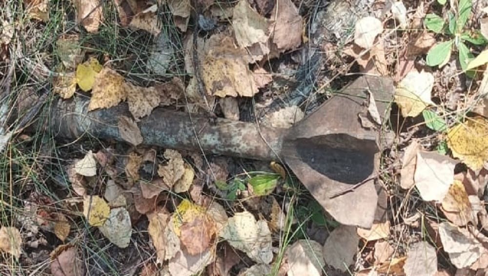 В Новозыбковском округе Брянской области местных жителей напугал миномётный выстрел