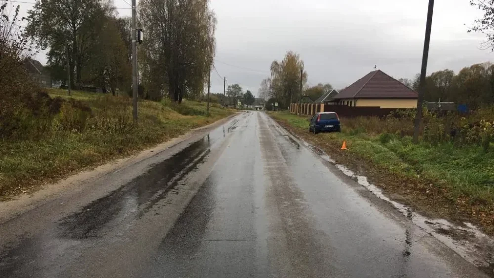 Брянский водитель сбил в Любохне Дятьковского района 7-летнюю девочку-пешехода