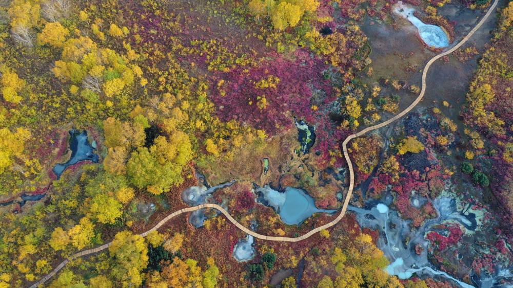 Брянский путешественник отправился к белоплечим орланам