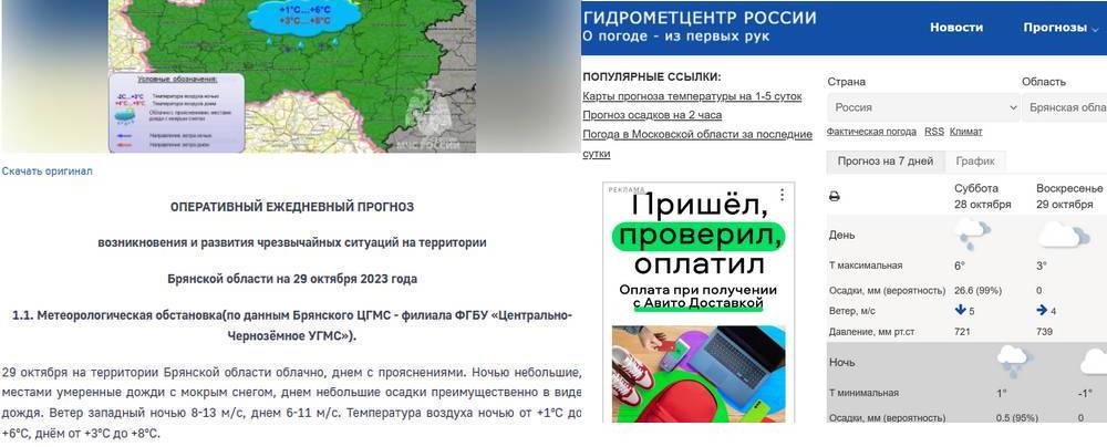Две государственные службы повергли брянцев в изумление предсказаниями
