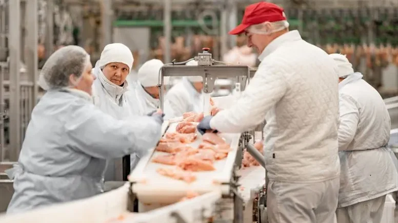 Брянские предприятия «Мираторга» с начала года нарастили производство мяса птицы на 14 процентов