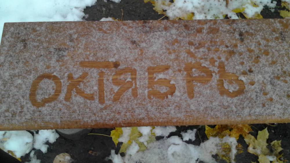 В Брянской области 16 октября пройдут дожди в тумане