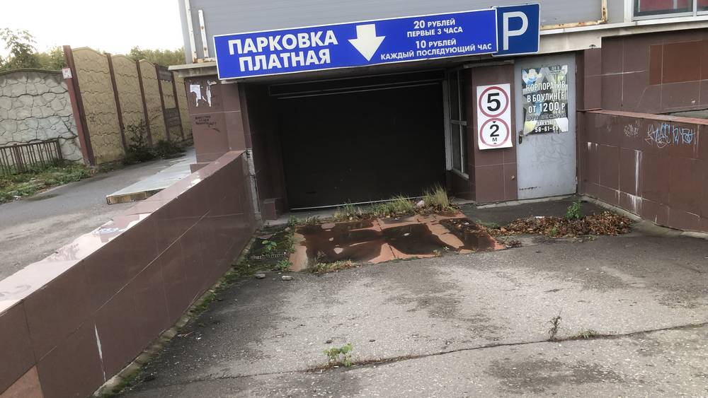 Народная тропа к ТРЦ Тимошковых в Брянске окончательно заросла