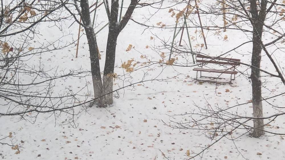 В Брянской области 27 октября пройдут дожди при 9 градусах тепла
