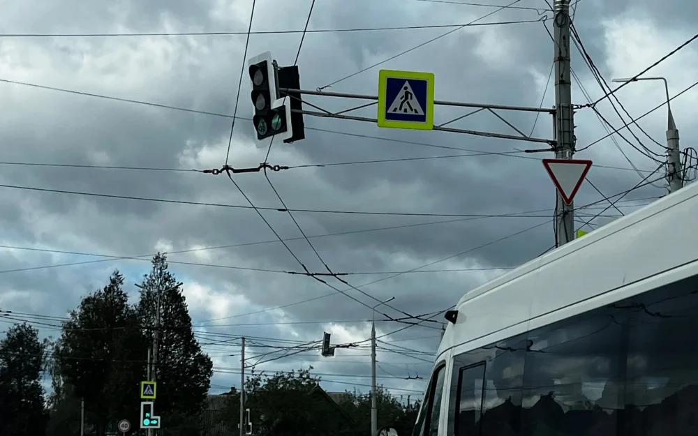 В Брянске ураганный ветер повалил 21 дерево