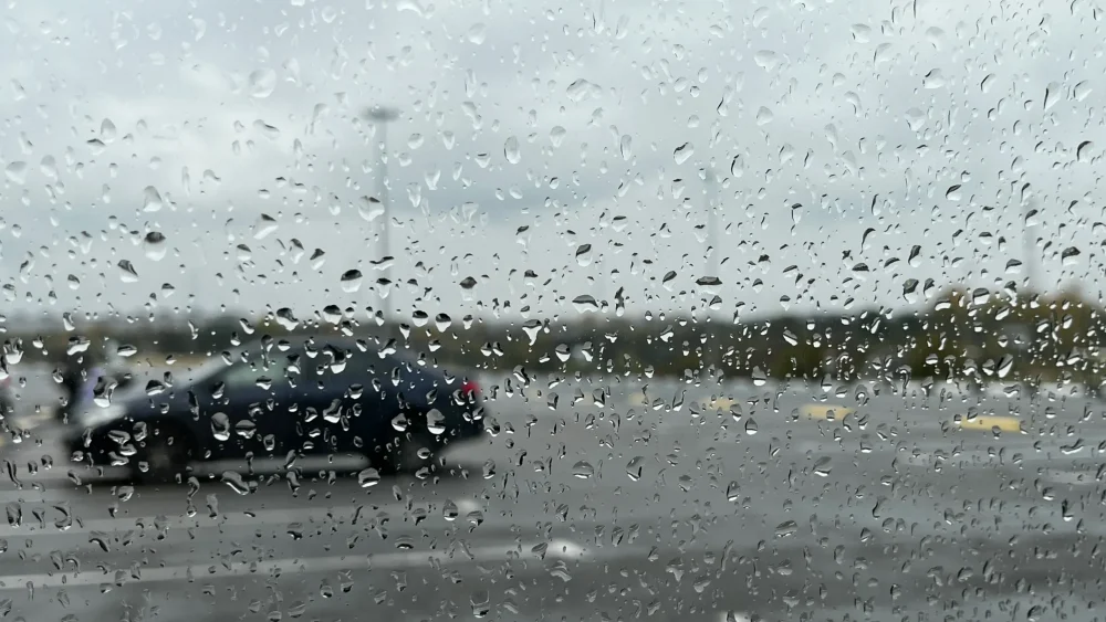 Брянск накрыл холодный дождь — водителей попросили отложить поездки