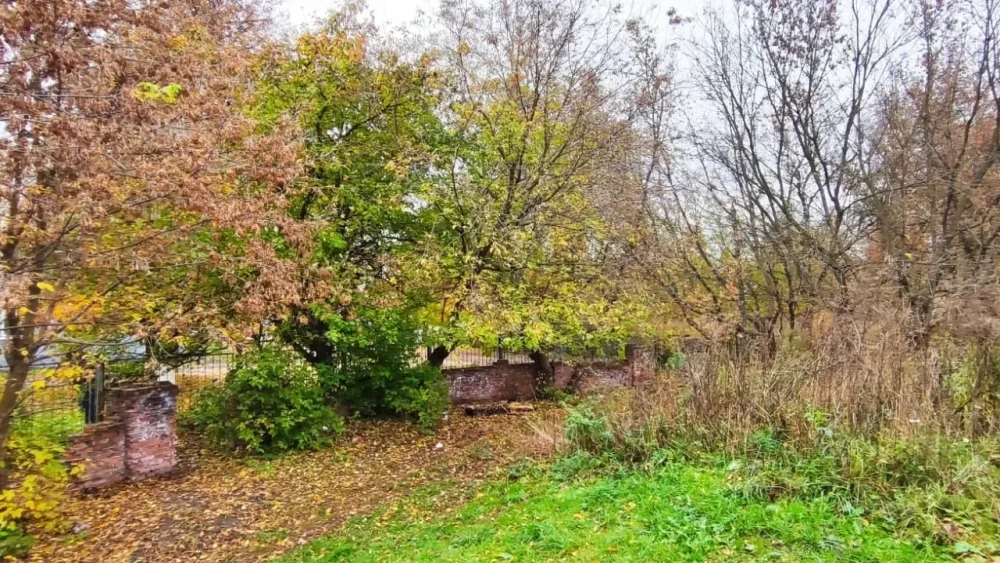 Мэр Брянска займется крепостью за «Электроникой», которую облюбовали пьяницы